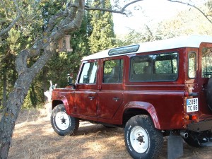 Big Red Defender