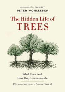 The Hidden Life of Trees Wohlleben