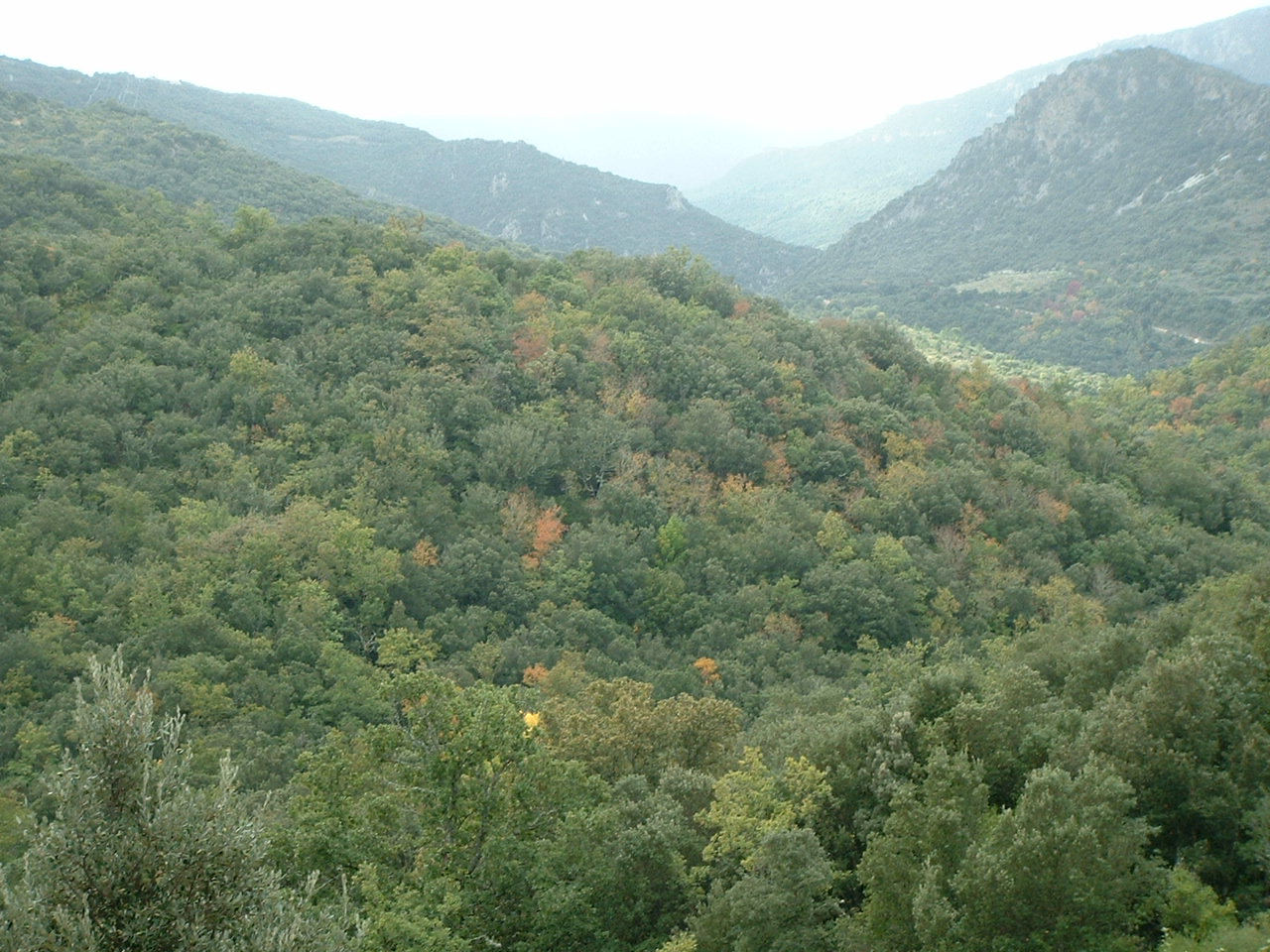 Autumn in the Corbieres