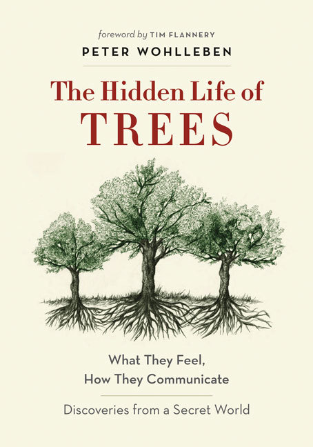 The Hidden Life of Trees Wohlleben